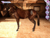 Horsez